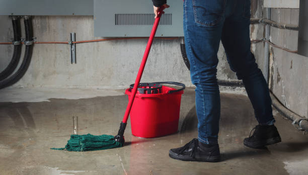 Best Flood damage cleanup  in Center Point, TX