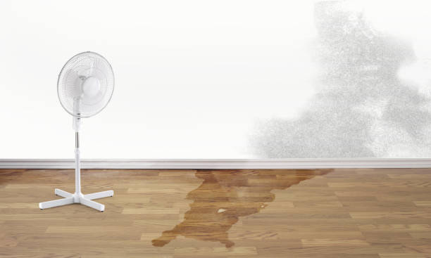 Best Water damage restoration near me  in Center Point, TX