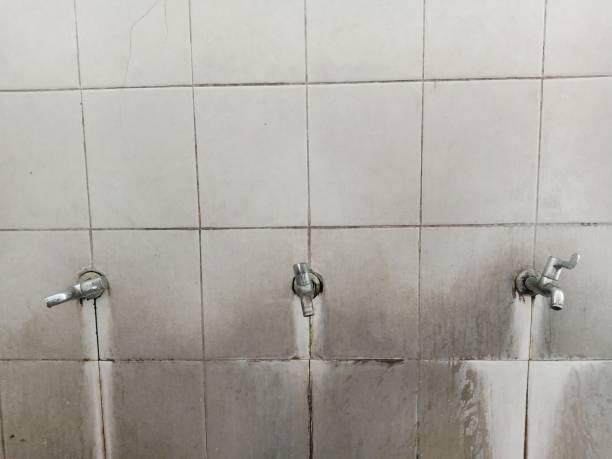Best Ceiling water damage repair  in Center Point, TX
